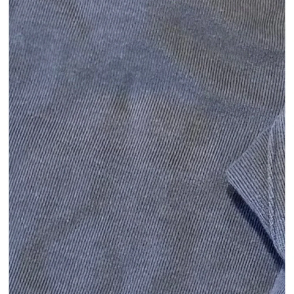 Tentree Organic Cotton Shorts Mens Large Blue French Terry Gorpcore Sustainable